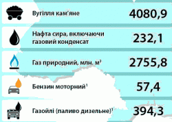 Инфографика: Использование энергоресурсов в Украине