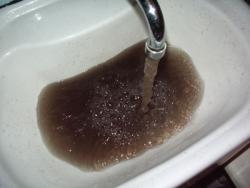 Морская вода под Одессой - чище питьевой