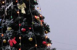готовятся к зимним праздникам 