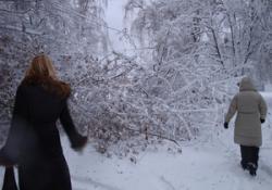 движение транспорта