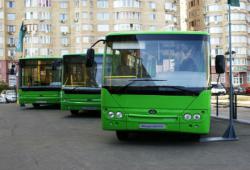 автобусы