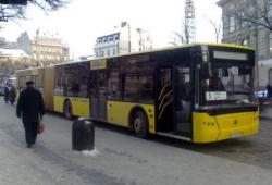 автобусы